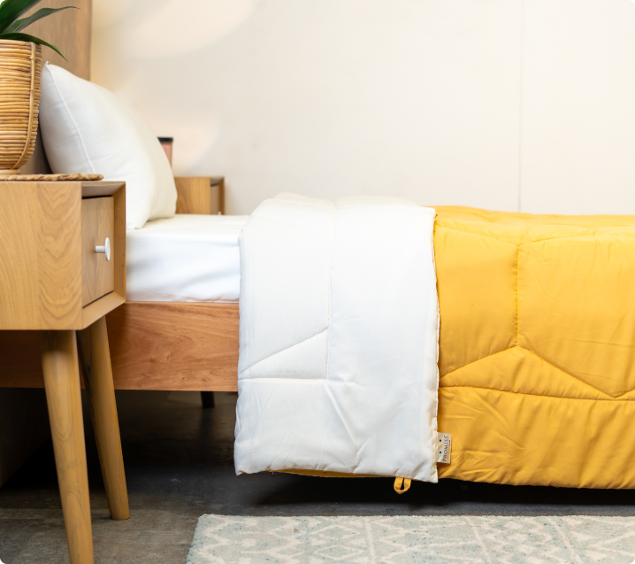#Color_Ivory and Gold