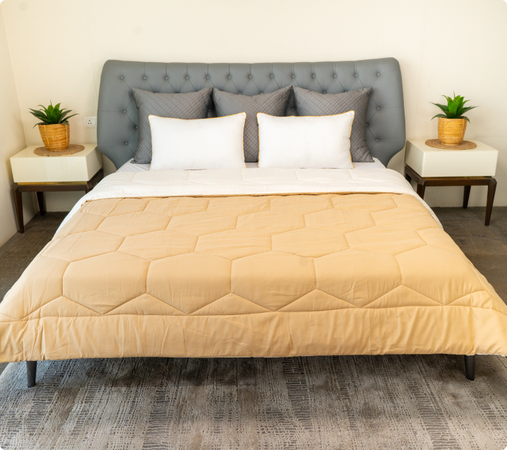 #Color_Ivory and Taupe