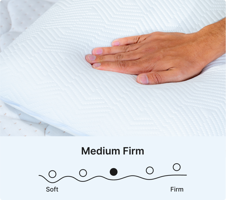 Promiss Standard Memory Foam Pillow