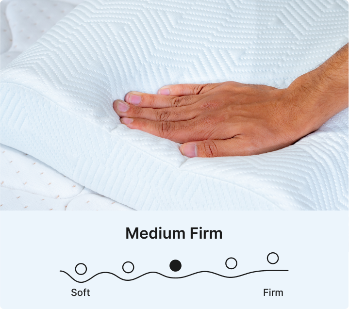 Promiss Contour Memory Foam Pillow